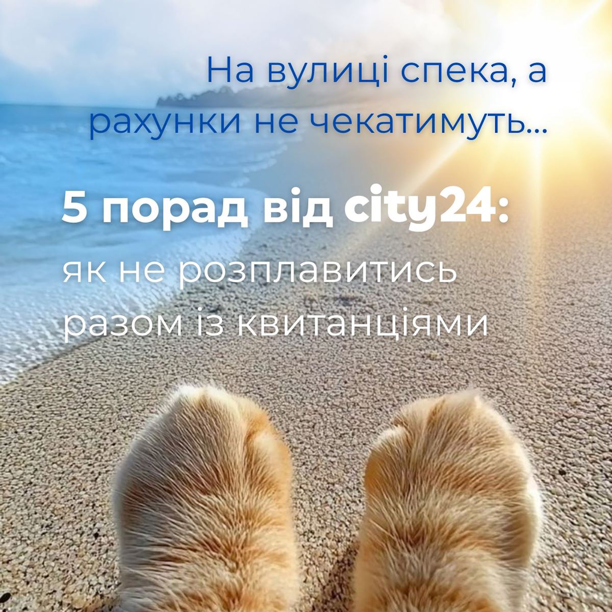 Распеченный август: 5 советов от city24 оплатить счета и не перегреться!